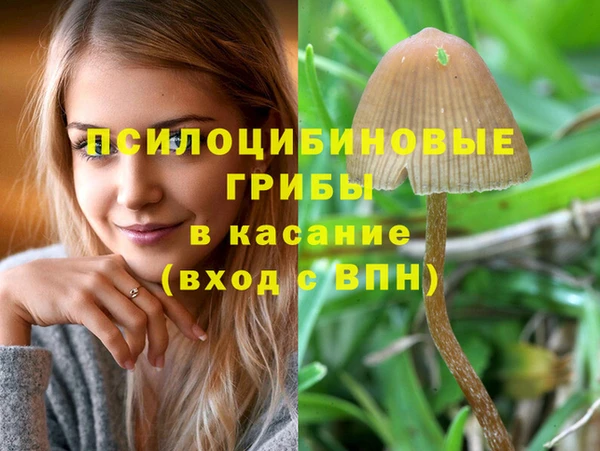 герыч Алексин