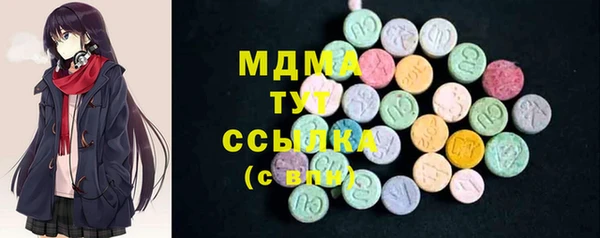 индика Алзамай