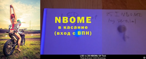 индика Алзамай