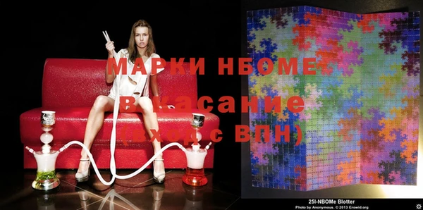 индика Алзамай