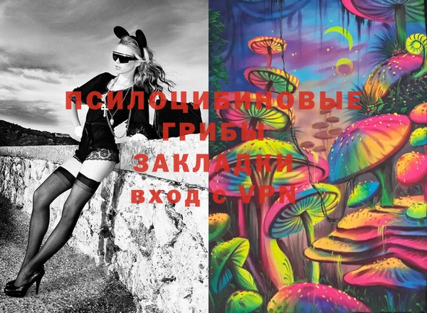 индика Алзамай