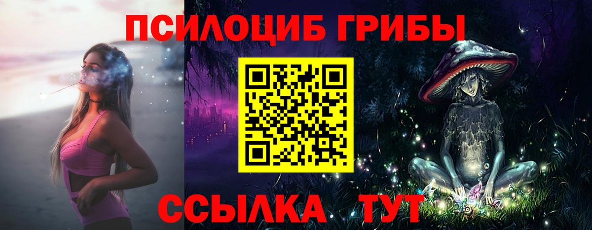 наркотики  Вход с VPN  Ленинск-Кузнецкий  Галлюциногенные грибы MAGIC MUSHROOMS  Галлюциногенные грибы Psilocybine cubensis 